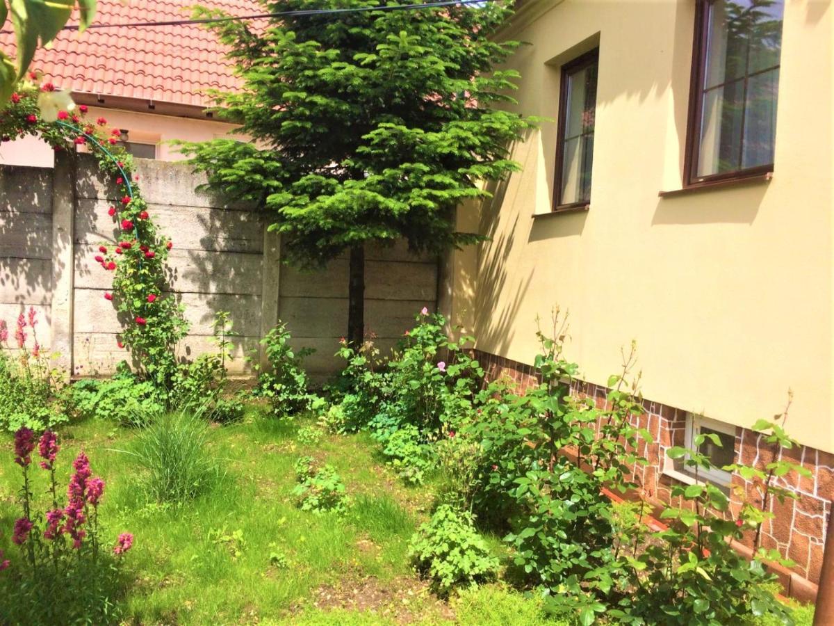 Warm Studio Sibiu Exterior photo
